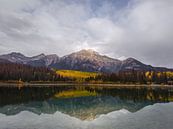 Patricia Lake und Pyramid Mountain in Jasper, Kanada von Daan Duvillier | Dsquared Photography Miniaturansicht