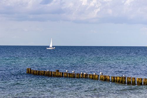Vue de la plage de la mer Baltique près de Kühlungsborn