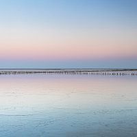 The mudflats