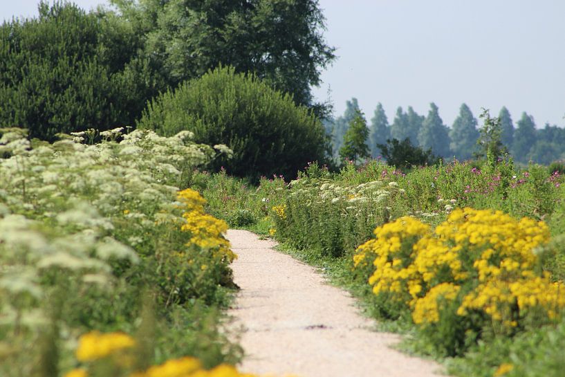 Natuur wandelgebied by Anja Kok