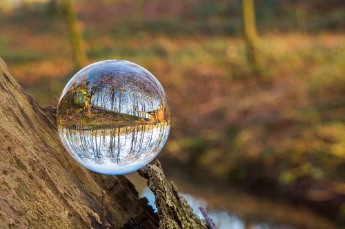 Door een glazen bal #6