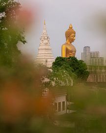 Der Goldene Buddha am Wat Paknam in Bangkok von Thea.Photo