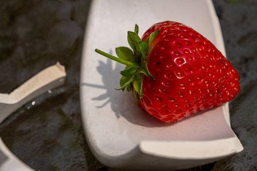 Strawberryfields forever - part 2