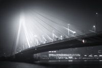Erasmusbrücke im Nebel
