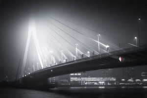 Pont Erasmus dans le brouillard - SW