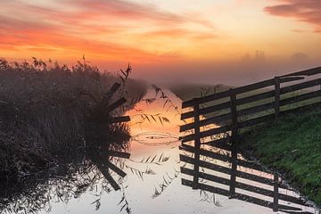 Mistige zonsopkomst in natuurgebied Kruiszwin in Anna Paulowna (3) van Bram Lubbers