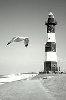 Flying by the lighthouse