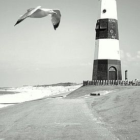 Flying by the lighthouse van Elly Wille-Neuféglise