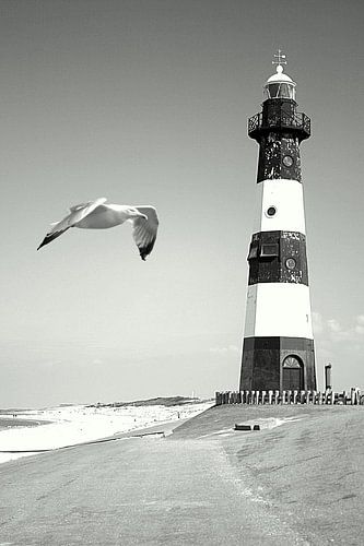 Flying by the lighthouse