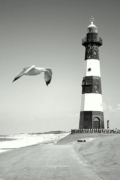 Flying by the lighthouse van Elly Wille-Neuféglise