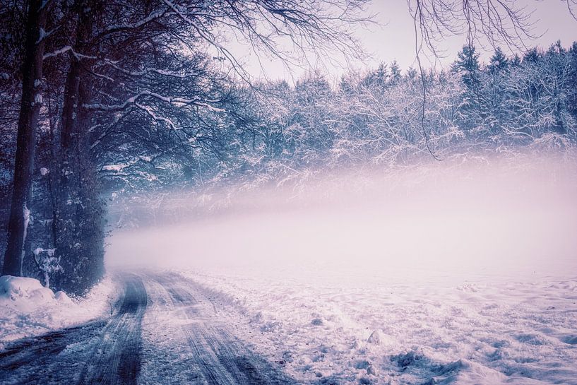 Chemin forestier perdu dans le brouillard par Nicc Koch