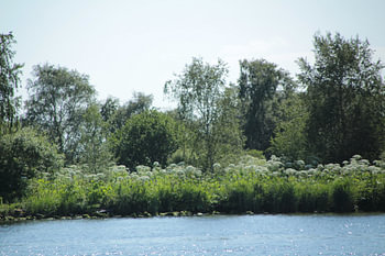 ruige rivier kant
