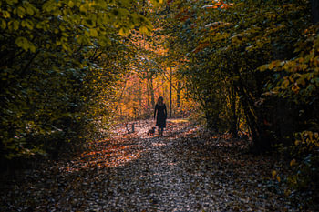 Promenade du matin