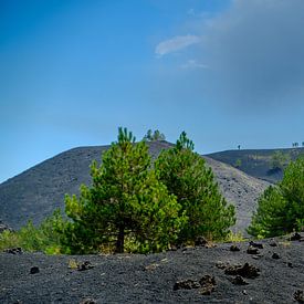 L'ascension de l'Etna sur Ineke Huizing