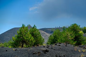 Vulkaan landschap van de Etna van Ineke Huizing