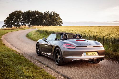 Porsche Boxster GTS Typ 981