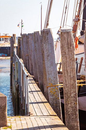 On the Wadden Sea coast at Schiermonnikoog