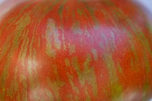 Schokolade gestreifte Tomate Makro 01