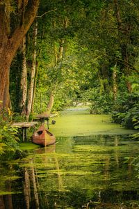 Ein Boot im Wasser, wie im Märchen