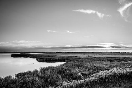 Waterschap in Zwart Wit Rustig Horizonbeeld
