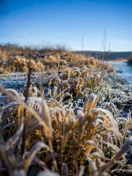 Winter op de Kalte Bode in de Harz van t.ART