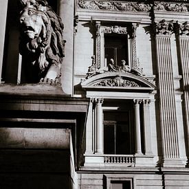 Bruxelles, dans l'ombre sur Geert Van Baelen