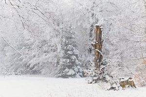 Schnee im Frühling