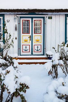 Door of a building in winter time