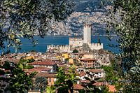 Malcesine with Scaliger Castle on Lake Garda