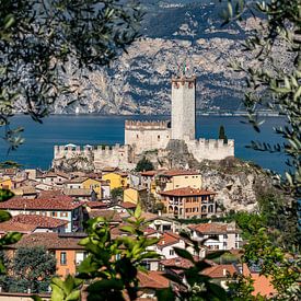 Malcesine mit Scaligerburg am Gardasee von Gerald Lechner