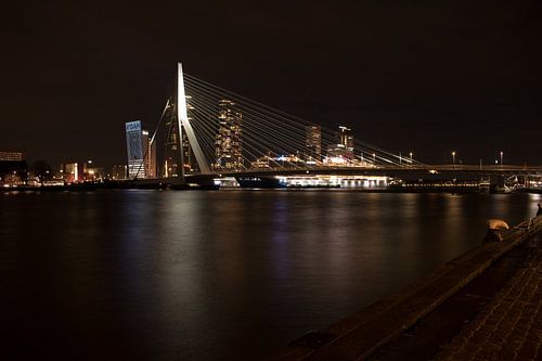 Erasmusbrücke bei Nacht