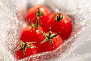 Tomates sur Rob Boon