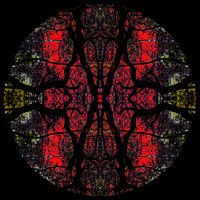 Hemisphäre 3