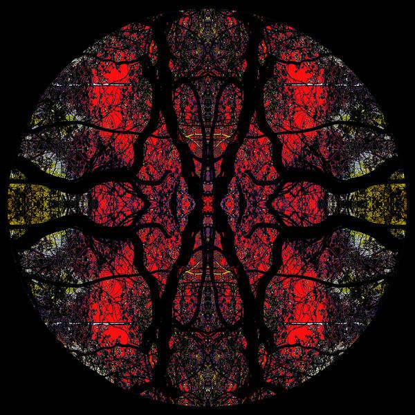 Hemisphäre 3 von Sandra Marcus