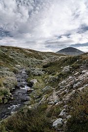 Norvège | Bergbeek et Berg Muen à Rondane sur Dylan Winter Visuals