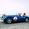 Jaguar-Oldtimer von Peter Deschepper