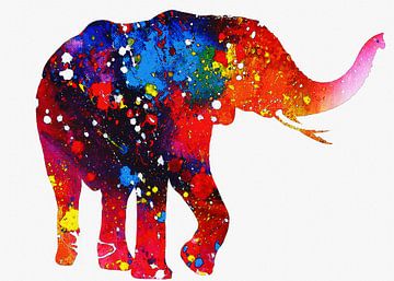 Elephant full color