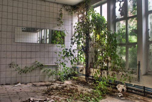 Nature takes over again