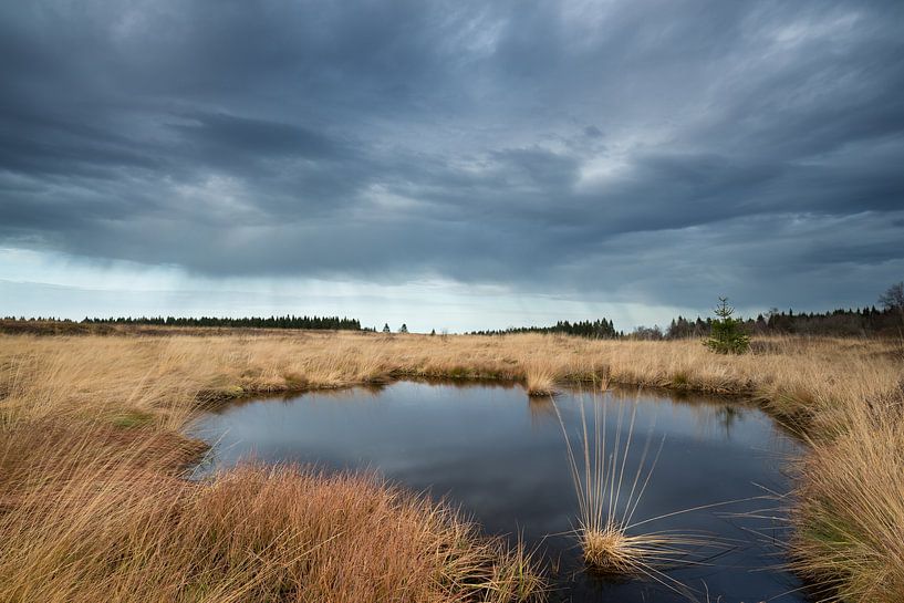 Dunkle Wolken von Rob Christiaans