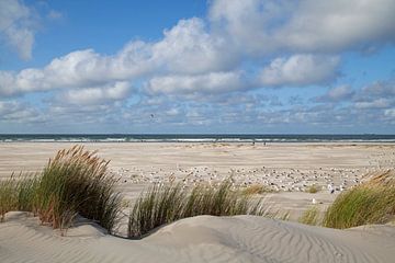 Plage à Terschelling sur Helga Kuiper