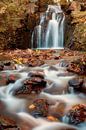 Waterval in de herfst van Bart Ceuppens thumbnail