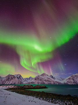 Aurore boréale sur un fjord dans le nord de la Norvège sur Chris Stenger