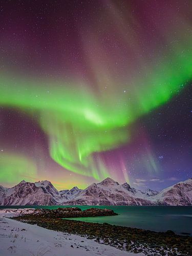 Noorderlicht boven fjord in noord Noorwegen