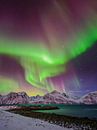 Aurore boréale sur un fjord dans le nord de la Norvège par Chris Stenger Aperçu