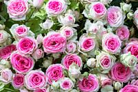 Boeket met witroze rozen