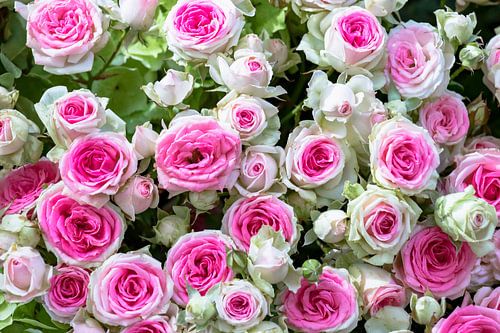 Boeket met witroze rozen