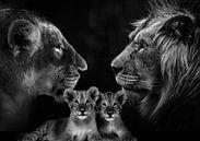 Löwenfamilie mit 2 Jungtieren von Bert Hooijer Miniaturansicht