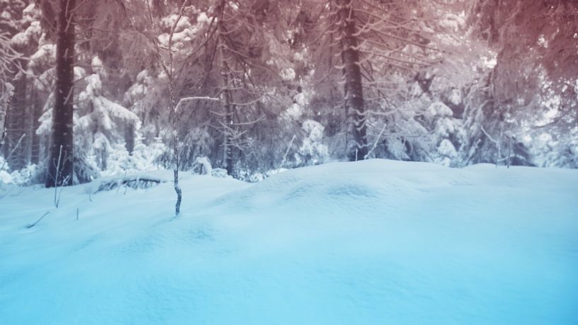 Winterlandschap van Bo Valentino