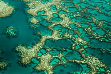 Gondwana, koraalrif vanuit de lucht van Karsten Wrobel