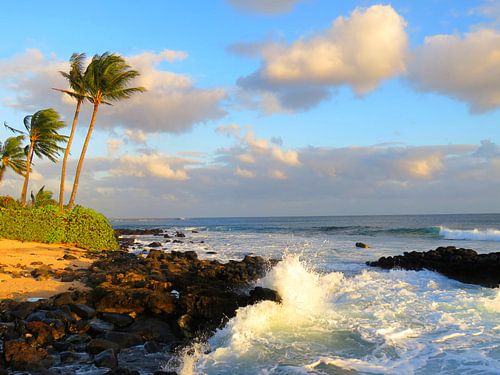 Lavastrand in Hawaii